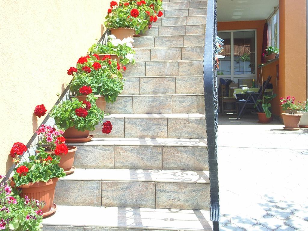Apartments And Rooms Juki Senj  Exterior foto